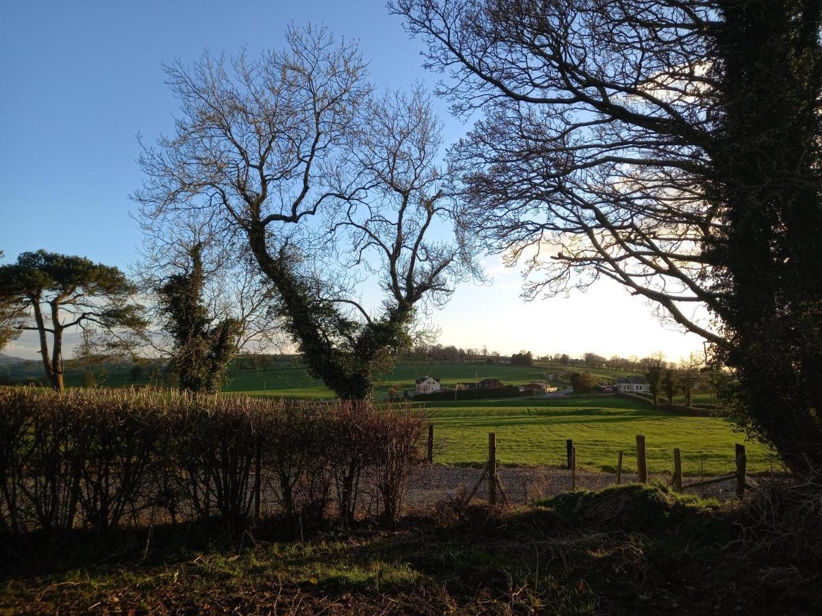 Derrywilligan Guest Accommodation Bessbrook المظهر الخارجي الصورة